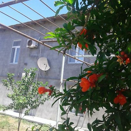 Guest House Near Baku Airport Eksteriør bilde
