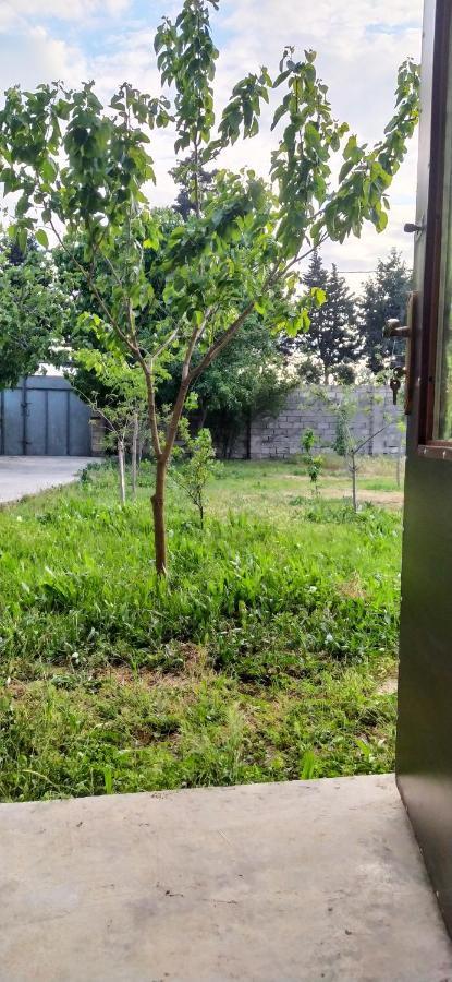 Guest House Near Baku Airport Eksteriør bilde