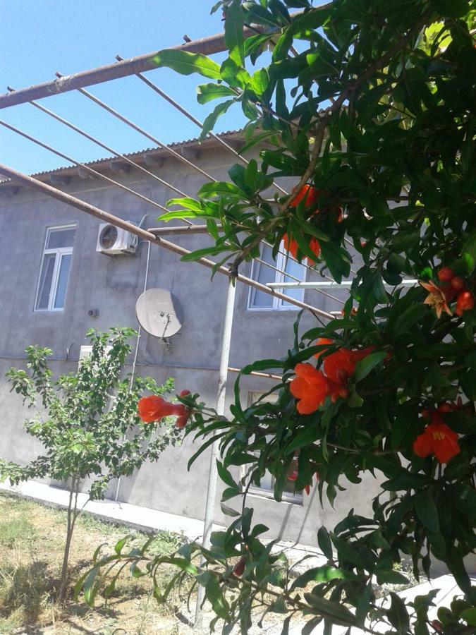 Guest House Near Baku Airport Eksteriør bilde